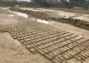 हिउँदे वर्षाले काँचो इँटामा क्षति