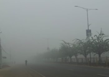बाक्लो हुस्सु र कुहिरोले पश्चिम तराईको जनजीवन प्रभावित
