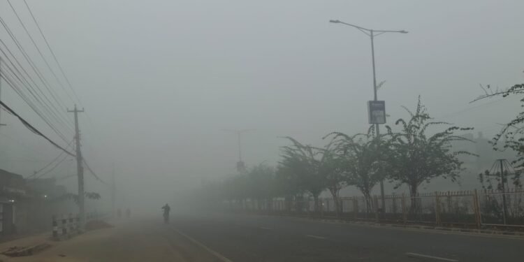 बाक्लो हुस्सु र कुहिरोले पश्चिम तराईको जनजीवन प्रभावित