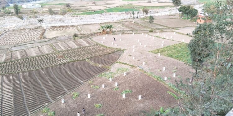 ‘आलु बिक्री गर्न बजारको समस्या छैन’