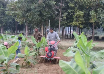 शिक्षण पेसासँगै कृषिमा रमाउँदै सर्वेन्द्र