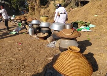 ढिक्री बनाउन व्यस्त थारू समुदाय