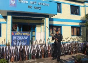 म्याग्दीमा एक सय पन्ध्र थान बन्दुक बरामद