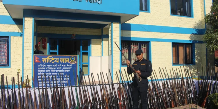 म्याग्दीमा एक सय पन्ध्र थान बन्दुक बरामद