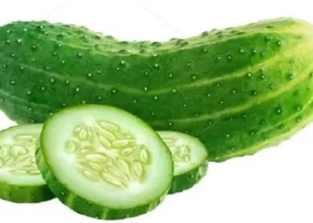 यस्ता छन् काँक्रो खानुका फाइदै फाइदा