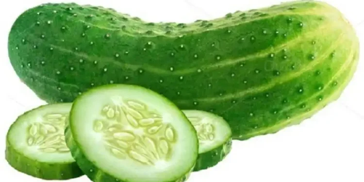 यस्ता छन् काँक्रो खानुका फाइदै फाइदा