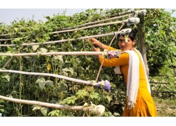 कञ्चनपुरमा ‘जलवायुमैत्री कृषि गाउँ’ स्थापना गरिँदै