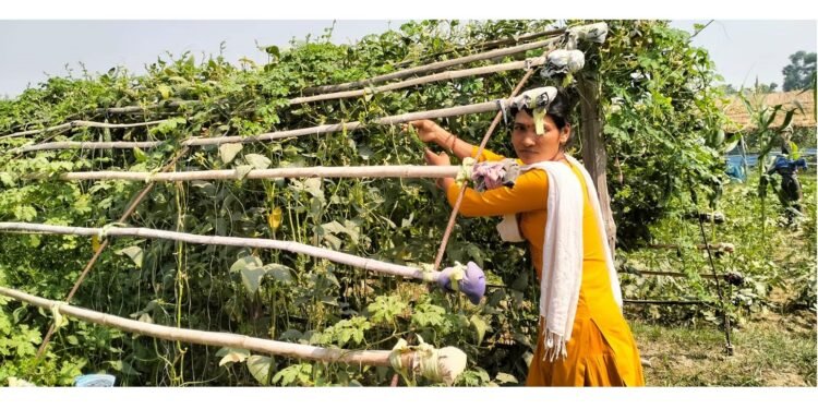 कञ्चनपुरमा ‘जलवायुमैत्री कृषि गाउँ’ स्थापना गरिँदै