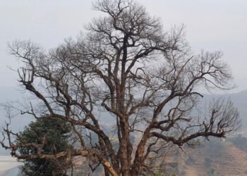 सार्वजनिक क्षेत्रका जोखिमपूर्ण रुख हटाइँदै