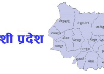 कोशी प्रदेशमा स्टार्टअप उद्यममा दुई अर्ब ५६ लगानी