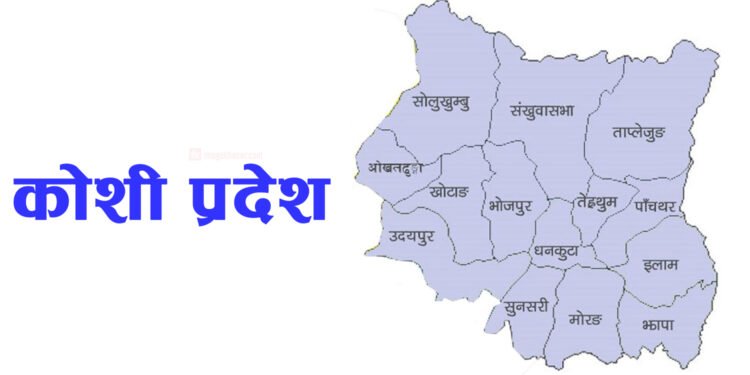 कोशी प्रदेशमा स्टार्टअप उद्यममा दुई अर्ब ५६ लगानी