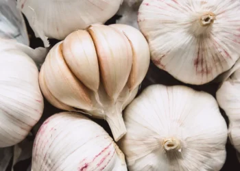 यस्ता छन् खाली पेटमा लसुन खानुका फाइदा