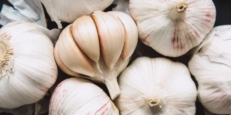 यस्ता छन् खाली पेटमा लसुन खानुका फाइदा