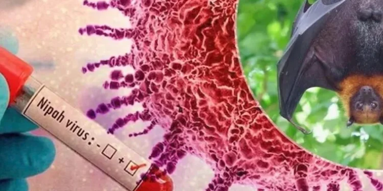 भारतमा निपाह भाइरसका दुई सङ्क्रमण, अवस्था नियन्त्रणमा