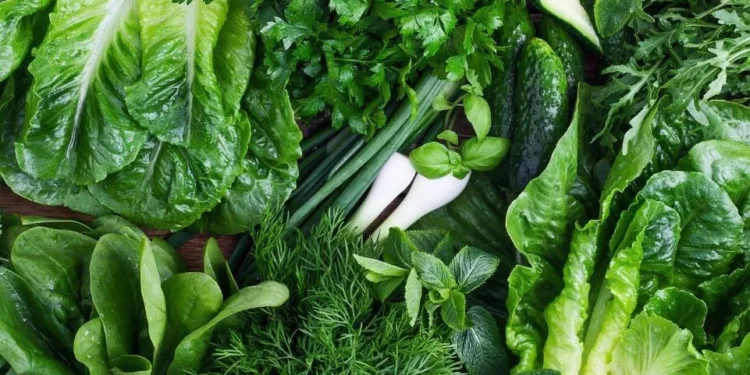 हरियो सागसब्जी खानुका फाइदा यस्ता छन्