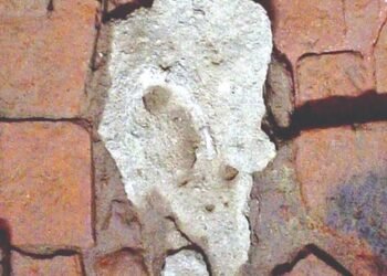 बुद्ध भगवानको जन्मबिन्दुकोे मौन साक्षीः ‘जन्मस्मारक शिला’