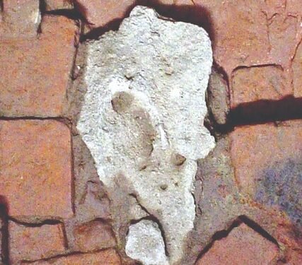 बुद्ध भगवानको जन्मबिन्दुकोे मौन साक्षीः ‘जन्मस्मारक शिला’