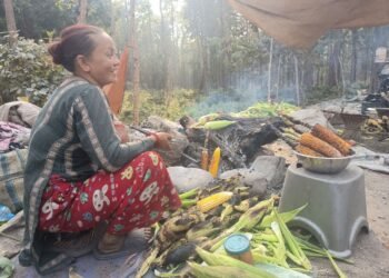 भाउन्नेमा पोलेको मकैको व्यापार फस्टाउँदै