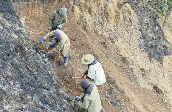 धौलागिरि आइसफल जोड्ने पदमार्ग निर्माण