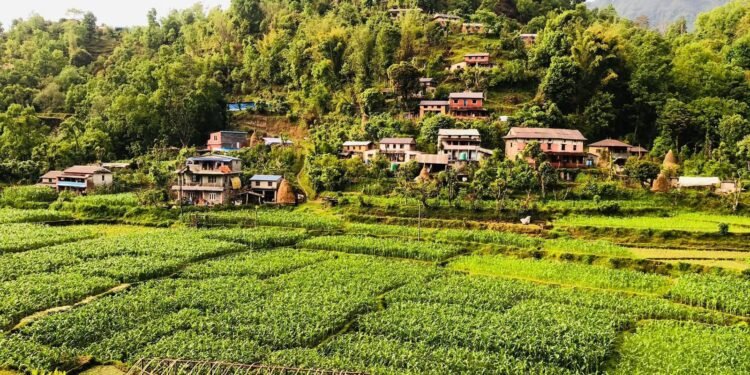 निर्वाचनपछि सपना कि यथार्थ? नेपालको स्थिरता, अपेक्षा र चुनौतीको कठोर सत्य