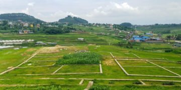 घरजग्गा कारोबारबाट माघमा पाँच अर्ब राजस्व संकलन