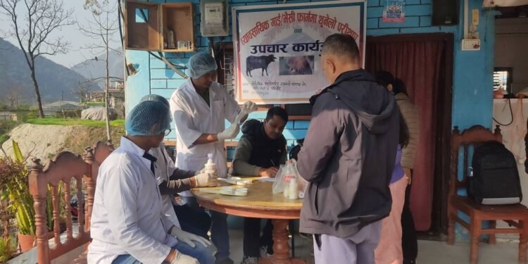 गाईभैँसीमा थुनेलो रोग