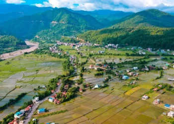व्यावसायिक कृषिमा रमाउँदै हुप्सेकोटका खेम रजाली