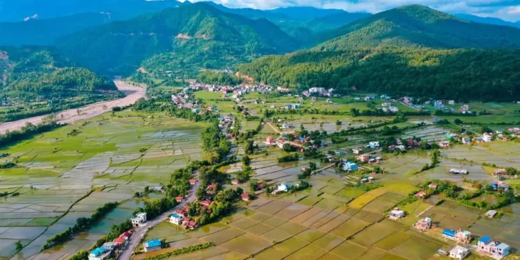 व्यावसायिक कृषिमा रमाउँदै हुप्सेकोटका खेम रजाली