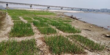 कर्णाली नदी बगरमा लोभलाग्दो प्याजखेती