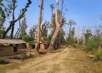 हरेक निर्वाचनमा लालपुर्जाको आश्वासन