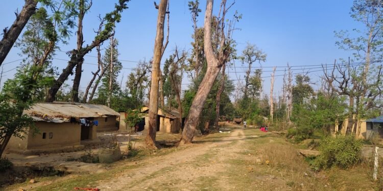 हरेक निर्वाचनमा लालपुर्जाको आश्वासन