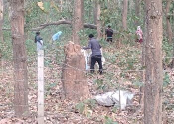 पतझरमा किसानलाई पतिङर सोहोर्ने चटारो