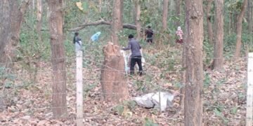 पतझरमा किसानलाई पतिङर सोहोर्ने चटारो