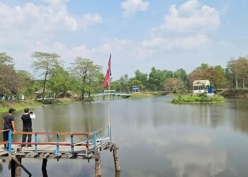 शङ्करबेली सिमसारमा दैनिक हजारौँ पर्यटक