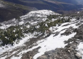 हिमपातले किसानलाई राहत