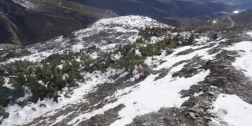 हिमपातले किसानलाई राहत