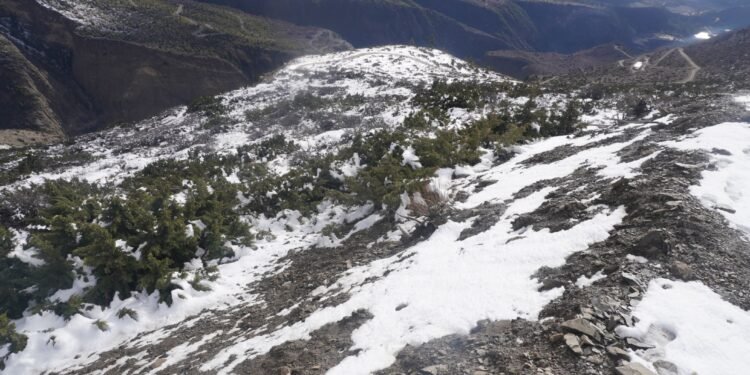 हिमपातले किसानलाई राहत