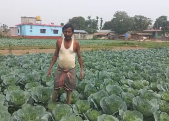 तरकारीखेतीले चिनिँदै बाह्रदशीको राधानगर गाउँ