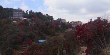 गुराँसले रङ्गिएको घोडेपानी पर्यटकको पर्खाइमा