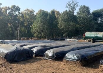 नवलपुरमा साझेदारी वनद्वारा जैविक मल उत्पादन सुरु