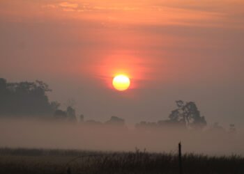 मिथिलामा आज अस्ताउँदो सूर्यलाई अर्घ दिँदै चैती छठ पर्व मनाइँदै