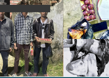 वीरगन्जमा विस्फोटक पदार्थ र सुँगुरको टाउकोसहित ३ पक्राउ