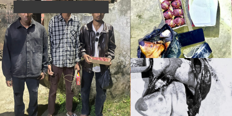 वीरगन्जमा विस्फोटक पदार्थ र सुँगुरको टाउकोसहित ३ पक्राउ