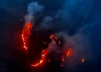 जानीजानी वनमा डढेलो लगाउने प्रवृत्ति बढ्दो