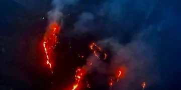 जानीजानी वनमा डढेलो लगाउने प्रवृत्ति बढ्दो