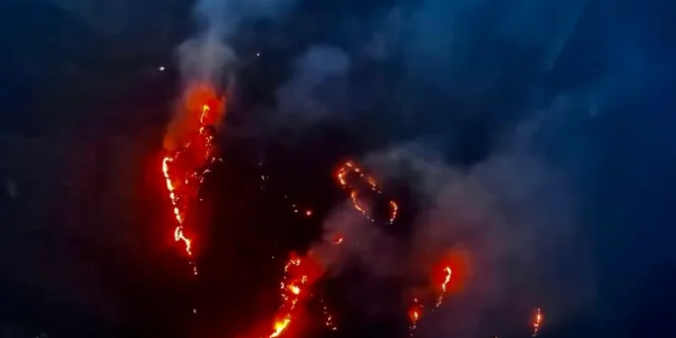 जानीजानी वनमा डढेलो लगाउने प्रवृत्ति बढ्दो