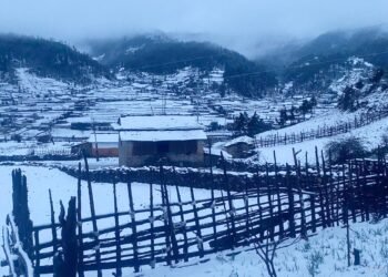 ढोरपाटनमा भारी हिमपात