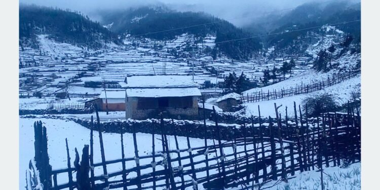 ढोरपाटनमा भारी हिमपात