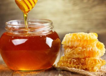 तनहुँको मह विश्वबजारमा, किसान उत्साहित