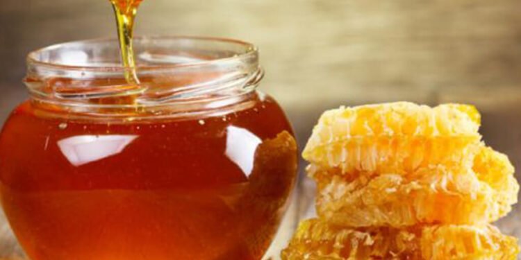 तनहुँको मह विश्वबजारमा, किसान उत्साहित